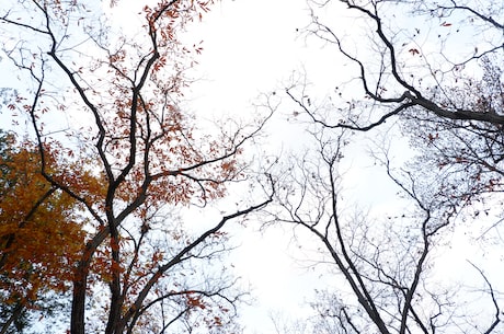 起风的季节(迎来起风的季节，感受大自然的鬼斧神工)