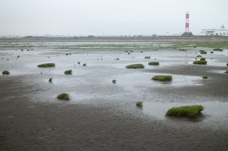 赤峰二手房信息 地段、回归主城是关键词