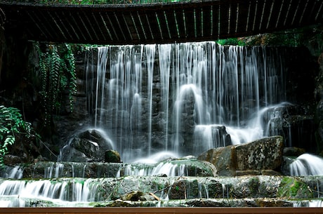 武陵源风景名胜区(探访中国最美景区——武陵源风景名胜区)