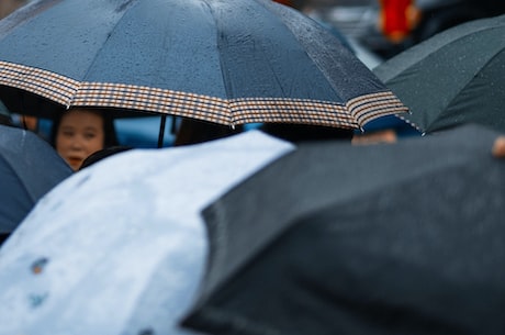 威海天气预报(【威海天气预报】周末持续小雨将结束，下周将有晴好天气)