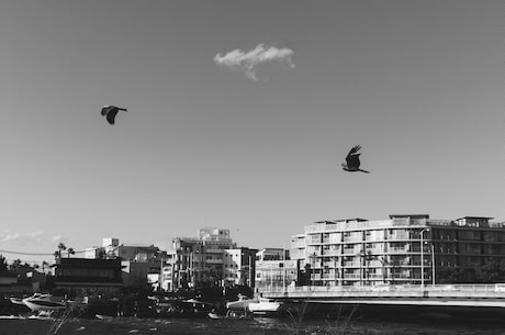 陇县天气预报(陇县天气预报)