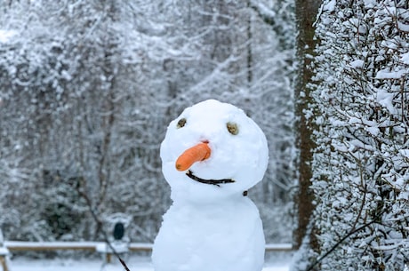 堆雪人的拼音(堆雪人的拼音是什么？原来这么多习俗和科学)