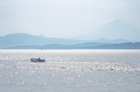 明天上海天气预报(明天上海天气预报-气温骤降，寒意逼人)