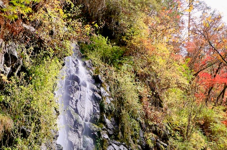 lol飓风(LOL飓风来袭，如何应对最强战场天气)