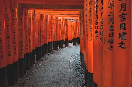 小学 数学 有条不紊地开展教研