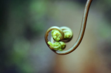 等风雨经过(等风雨经过：一种生活态度)