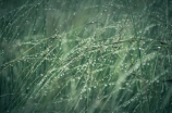 雨水斗(让你的家更出众！雨水斗的装修大揭秘)